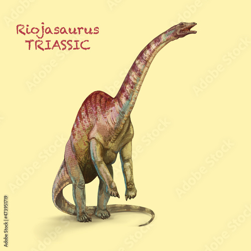 Riojasaurus TRIASSIC. A collection of various dinosaurs and reptiles that lived during the Triassic Period of Earth's history © David Costa Art
