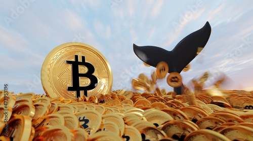 Bitcoin whale , whale in many bitcoin ocean and one big bitcoin . Whale is large investor in the BTC market .3D Rendering.