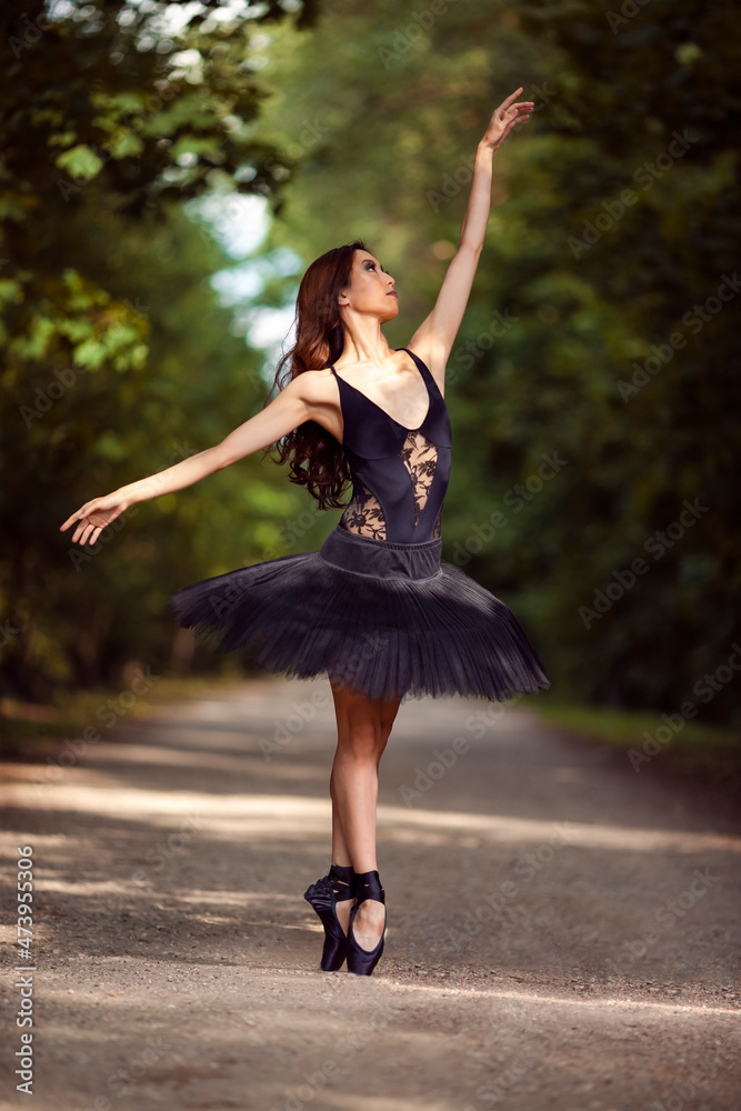 Black tutu top skirt japanese