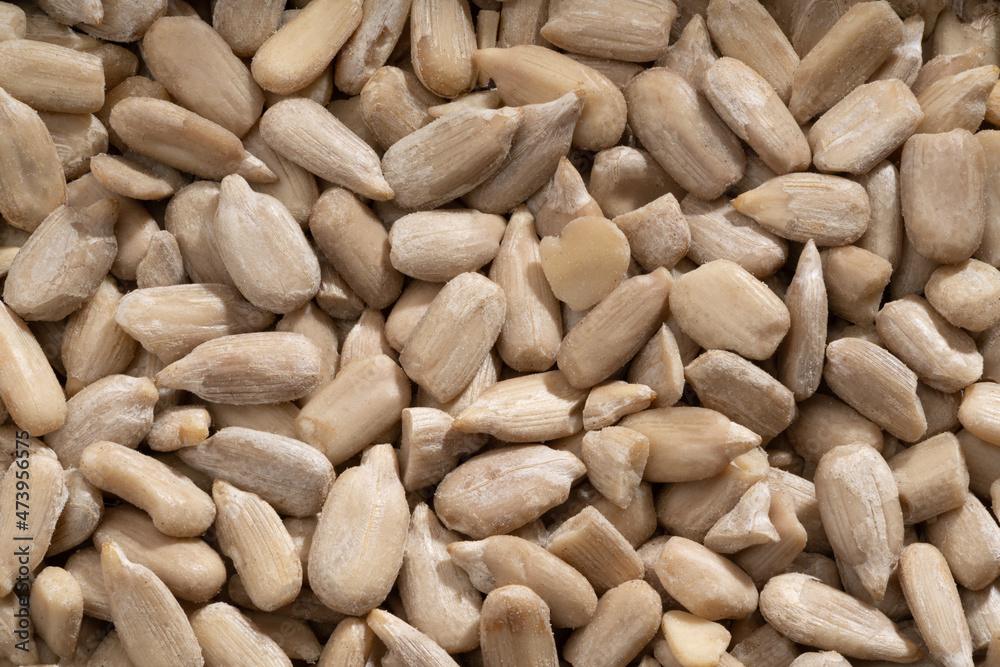 Detailed and large close up shot of sunflower seeds. Detailed and large close up shot of sunflower seeds.