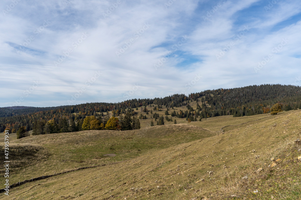 Fototapeta premium paysage Jurassien