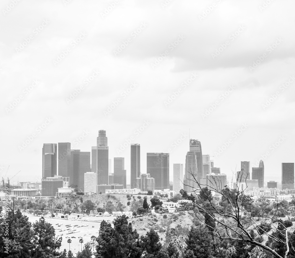 Fototapeta premium city skyline