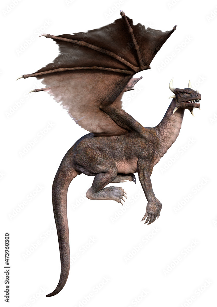 3D Rendering Fairy Tale Dragon on White 3D Rendering Fairy Tale Dragon on White