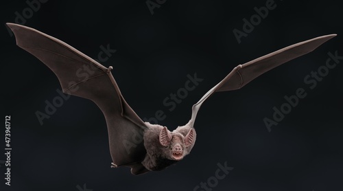 Realistic 3D Render of Vampire Bat photo