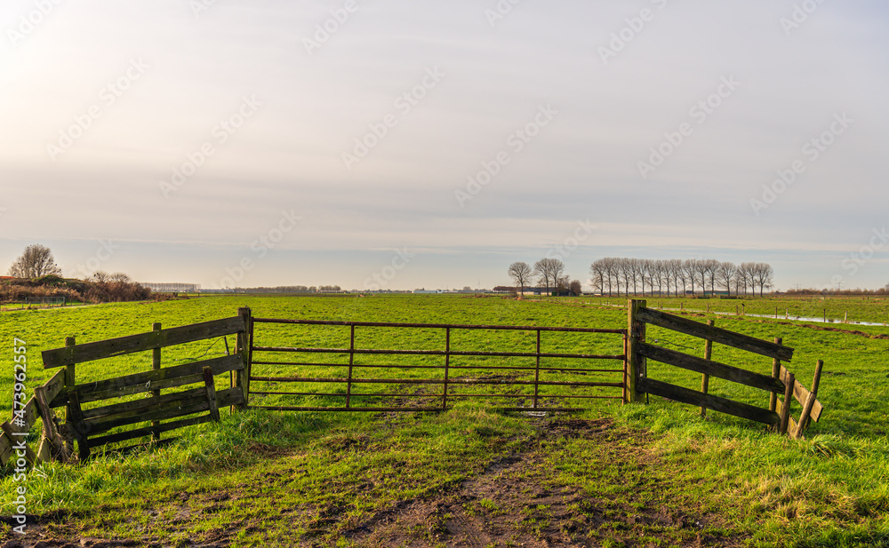 Iron gate between wooden beams in a Dutch polder landscape. It is a cloudy day in the autumn season. The grassland is marshy. The photo was taken in the province of North Brabant.