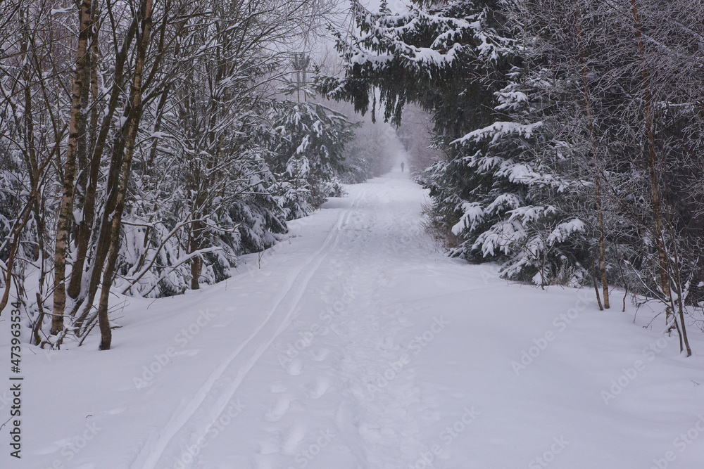 Fototapeta premium Winter im Erzgebirge 