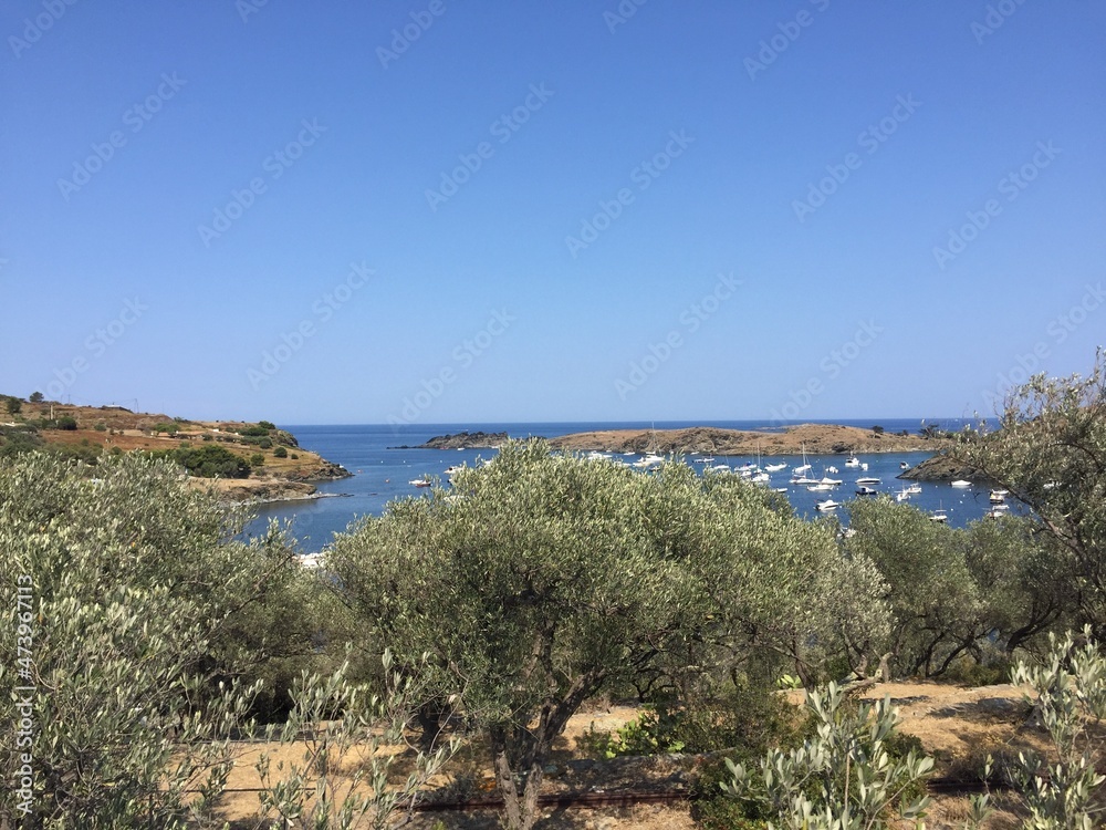 Fototapeta premium Landscape