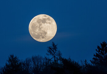 Full moon glowing at night over silhouettes of trees