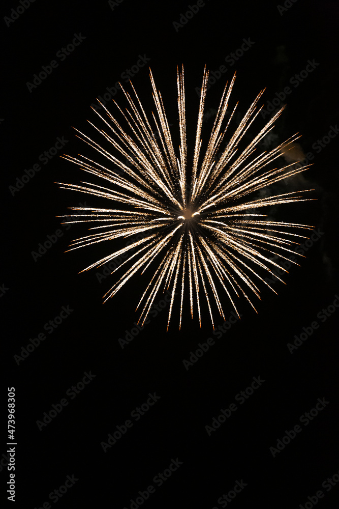 Beautiful fireworks on the black background. Beautiful fireworks on the black background.