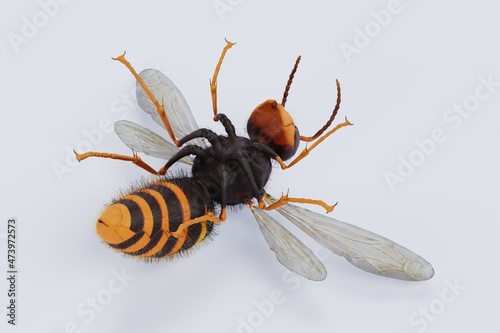 Wallpaper Mural Realistic 3D Render of Asian Hornet Torontodigital.ca