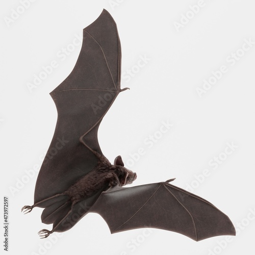 Realistic 3D Render of Vampire Bat photo