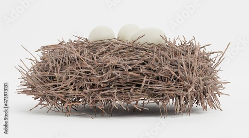 Realistic 3D Render of Stork Nest