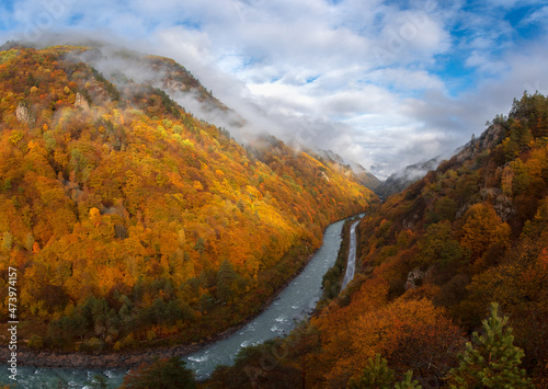 mountain slopes with dense trees and autumn forest with clouds and a mountain river 