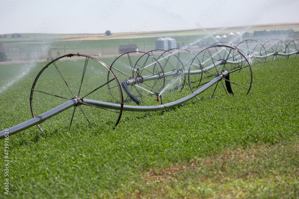 Irrigation sprinkler splashing water in the green field Irrigation sprinkler splashing water in the green field