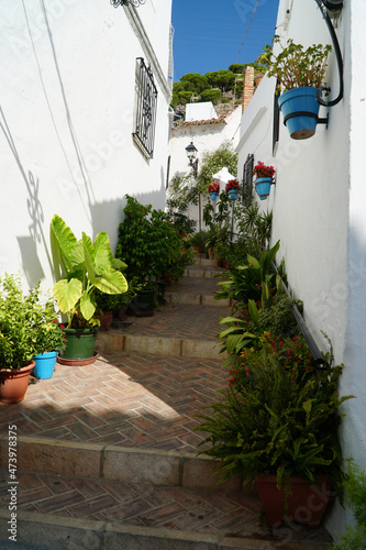 Fototapeta Naklejka Na Ścianę i Meble -  Típica escalera con plantas de pueblo blanco Mijas 