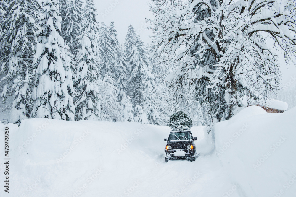 Austria, Salzburger Land, Lammertal, Car with Christmas tree on roof on snowy road Austria, Salzburger Land, Lammertal, Car with Christmas tree on roof on snowy road
