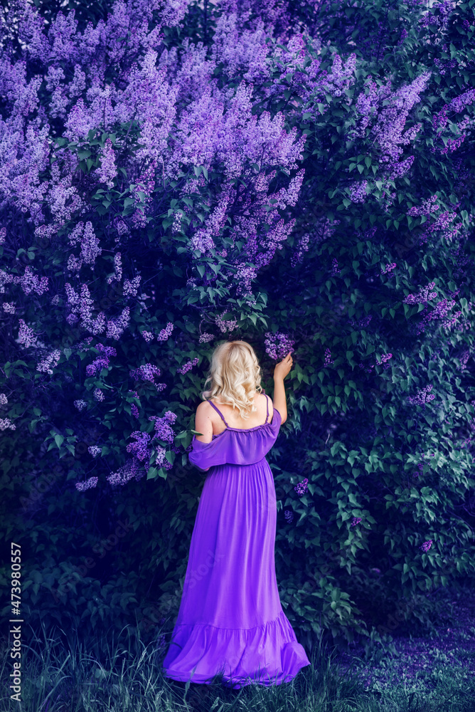 girl in a long purple dress is picking flowers. Tinted photo from the back. Rear view. Purple and lilac lilac flowers on the branches. The color of the year 2022. girl in a long purple dress is picking flowers. Tinted photo from the back. Rear view. Purple and lilac lilac flowers on the branches. The color of the year 2022.