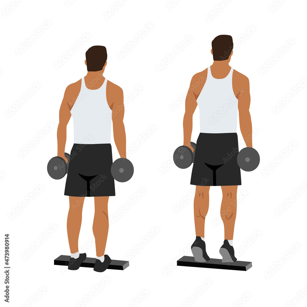 Man doing Standing dumbbell calf raises exercise. Flat vector illustration isolated on white background. Workout character set Man doing Standing dumbbell calf raises exercise. Flat vector illustration isolated on white background. Workout character set