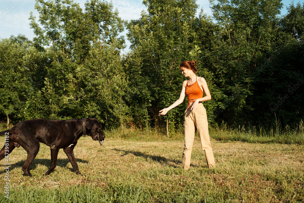 woman playing with a big black dog outdoors in the field fun friendship
