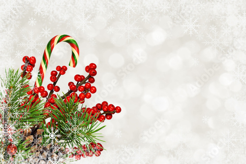 Pine twigs, red berries wit...