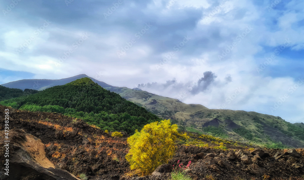 Rocky, volcanic landscape near Mt Etna, Sicily, Italy.
