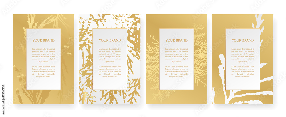 Luxury Corporate Holiday cards with Christmas tree.
Tropical cover design set with branchs branch. Holiday black and gold pattern for vector floral wedding party card, luxury menu template