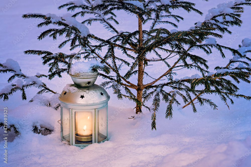 christmas lantern with burning candle in the snow under a little christmas tree in winter, christmas yard decoration christmas lantern with burning candle in the snow under a little christmas tree in winter, christmas yard decoration