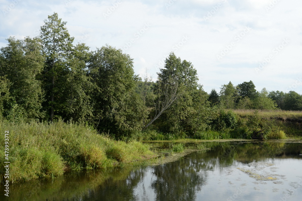 The Nerl River at Babya Gora at the junction of the Yaroslavl, Ivanovo and Vladimir regions