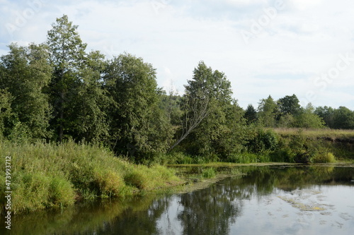 The Nerl River at Babya Gora at the junction of the Yaroslavl  Ivanovo and Vladimir regions