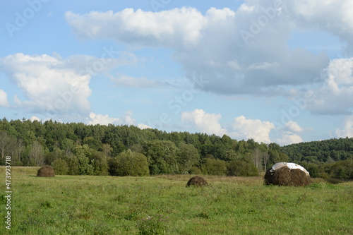 Summer landscape on the outskirts of the village of Konyukovo, Yaroslavl region