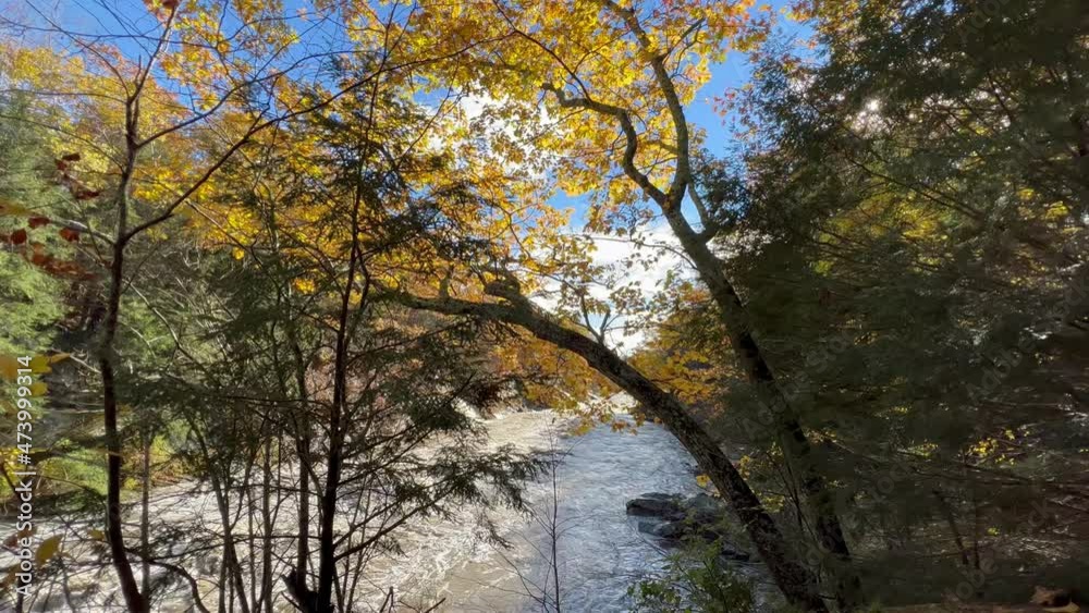 Autumn Rushing River & Sunlight Shimmer Through Trees Autumn Rushing River & Sunlight Shimmer Through Trees