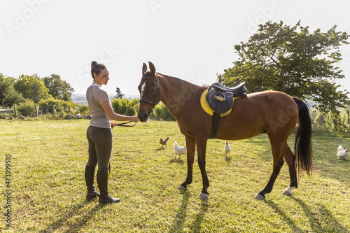 Woman attaching rein with horse harness at meadow photo
