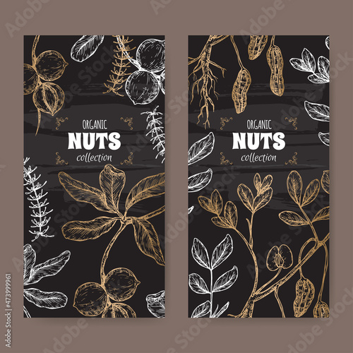 Two labels with Macadamia tetraphylla aka macadamia and Arachis hypogaea aka peanut branch and nuts sketch on black.