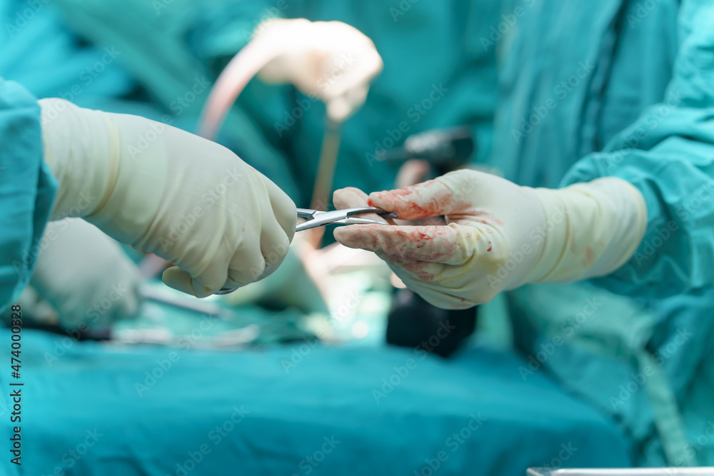 Team surgeon assistant send medical surgery instruments to Orthopedic