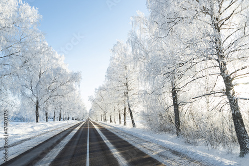 winter snow covered road frozen birch tree alley sun shining sunset bright wonderland  asphalt © Nauris