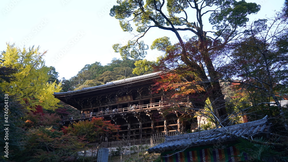 Fototapeta premium 書写山 圓教寺の風景 秋