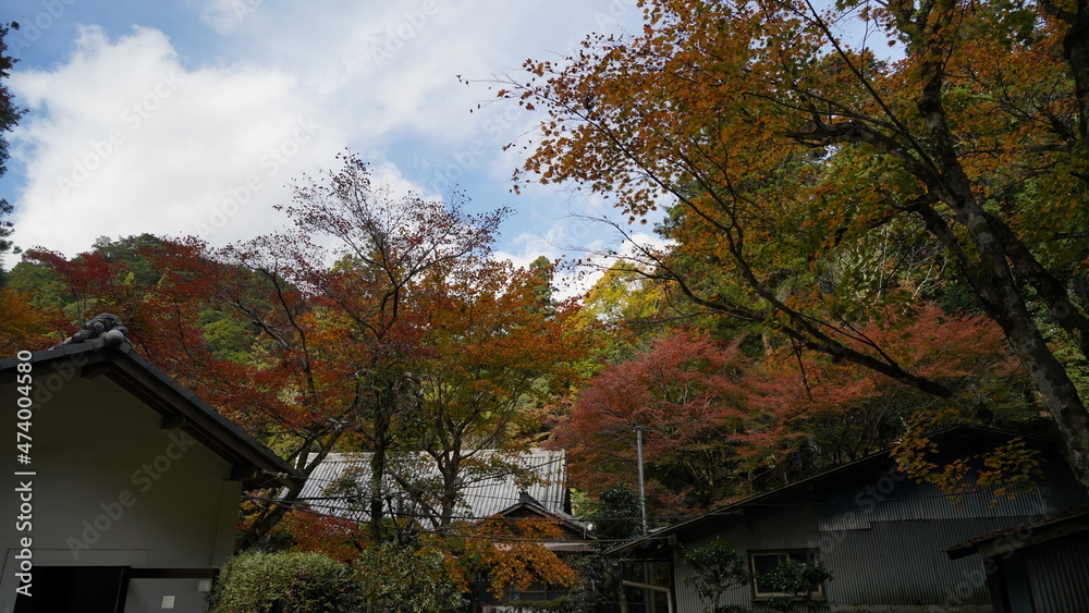 書写山 圓教寺の風景 秋 書写山 圓教寺の風景 秋