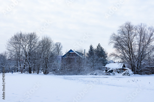 Village houses among snow and bare trees under white cloudy sky © Maria