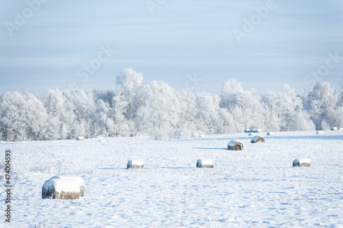 bail of hey field stack  hay bale agriculture nature rural winter scene frozen snow covered sun shine 