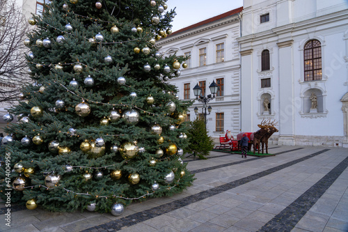 christmas market in Gyor Hungary with christmas tree photo