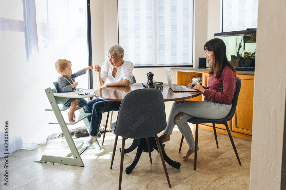 Boy With Grandmother While Mother Working At Home