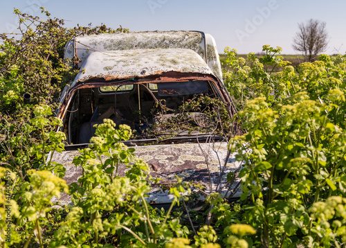 Vieille voiture, carcasse type camionnette, abandonnée dans une friche de ronces et couverte de lichens photo