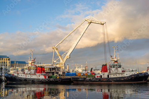 cranes in harbor © johan