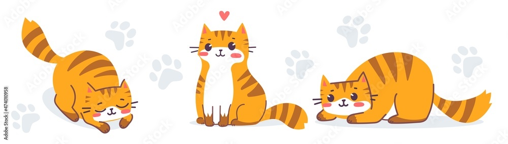 Vector set of illustration of happy cute animal tiger cat character on white color background. Flat line art style design of striped red cat in different pose. Symbol of New Year 2022 Vector set of illustration of happy cute animal tiger cat character on white color background. Flat line art style design of striped red cat in different pose. Symbol of New Year 2022