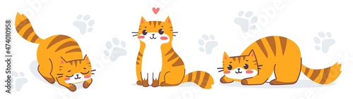 Photography Vector set of illustration of happy cute animal tiger cat character on white color background