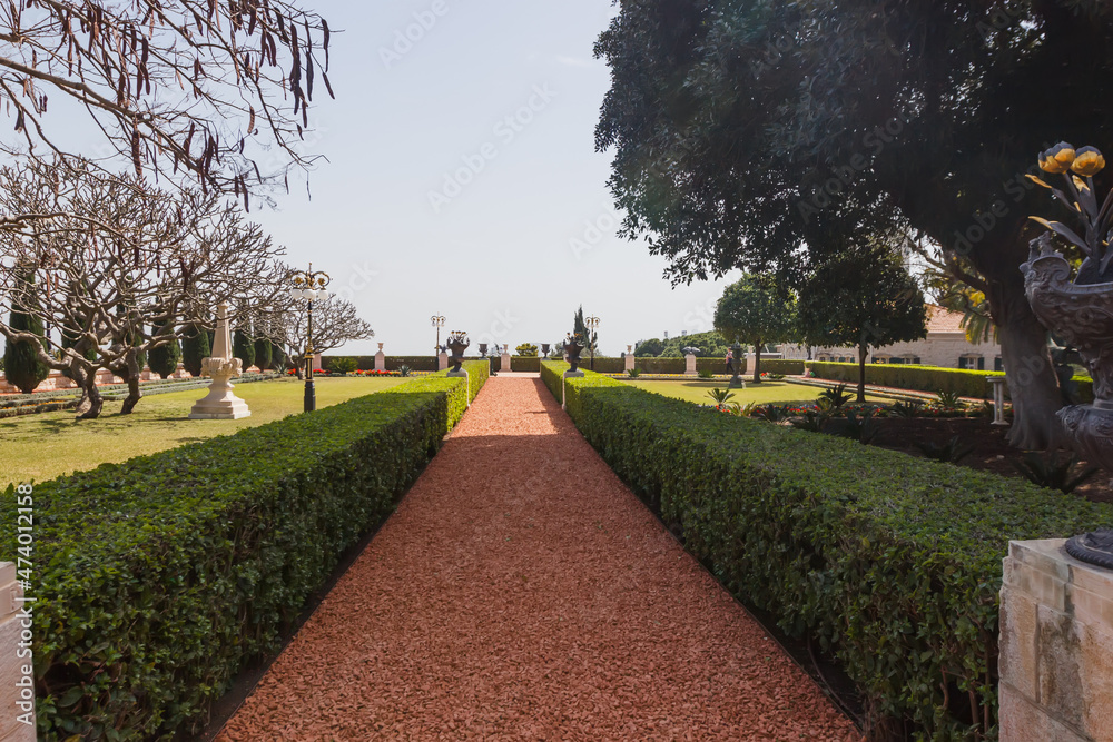 The path among the plants of the Bahai Gardens