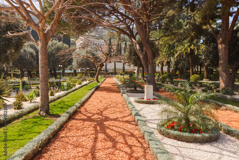 The path among the plants of the Bahai Gardens