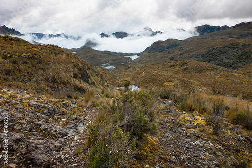 The amazing reserve of Cajas in Ecuador 