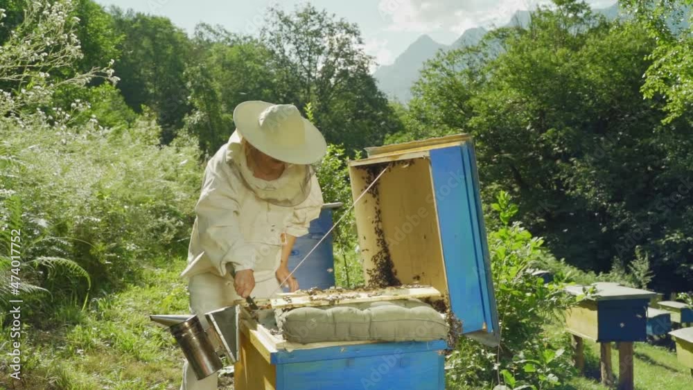 Happy Professional beekeeper in protective hat is busy on apiary. Woman Bee master works near bee hives in summer on mountain background Happy Professional beekeeper in protective hat is busy on apiary. Woman Bee master works near bee hives in summer on mountain background