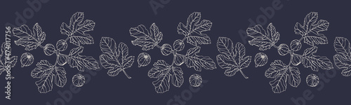 Vector horizontal seamless border with hand darwn fig branch. Eps 10. Line-art botanical illustration. Fruits backdrop